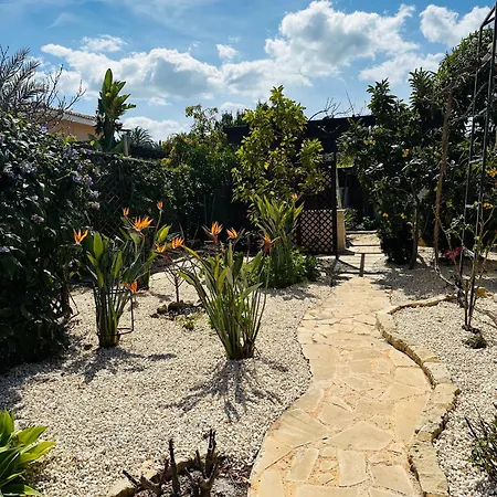 Strelitzia Lägenhet Lachi