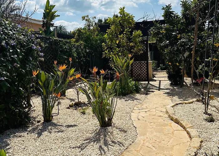 Strelitzia Lägenhet Lachi