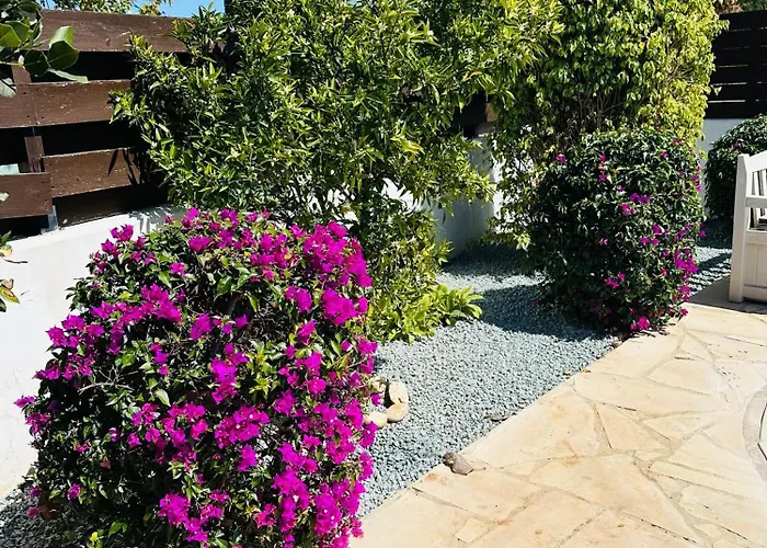 Strelitzia Lägenhet Lachi