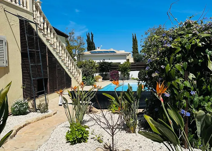 Lägenhet Strelitzia *