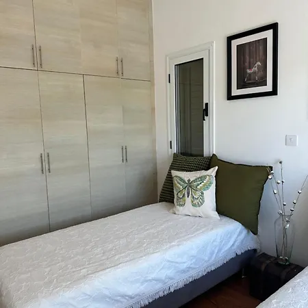 Strelitzia * لاشي