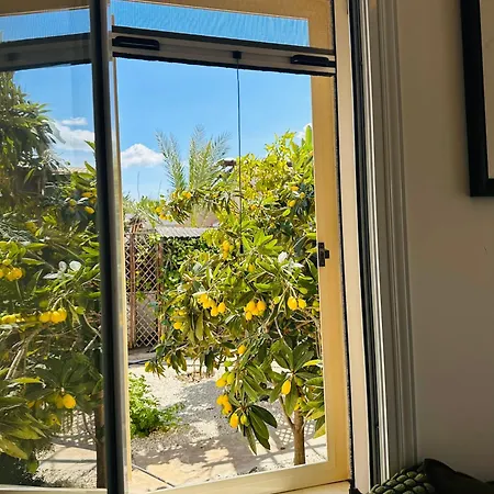 Apartment Strelitzia