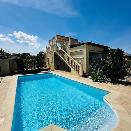 Strelitzia * لاشي