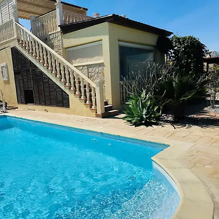 Strelitzia * لاشي