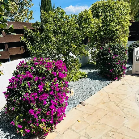 Strelitzia شقة لاشي