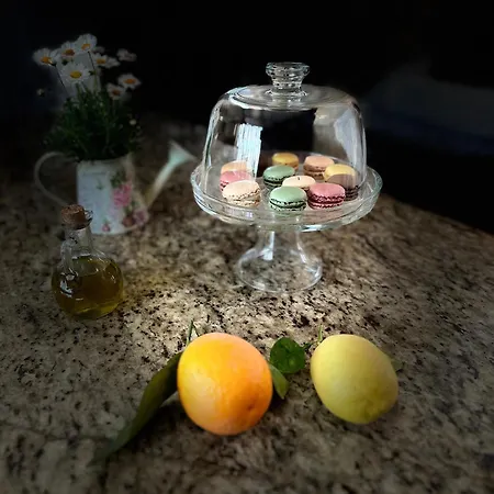 Strelitzia * لاشي