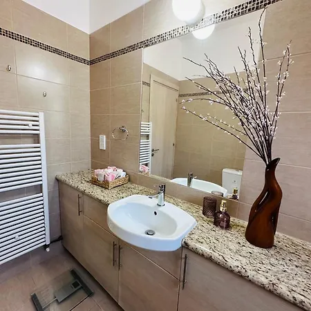 Strelitzia * لاشي