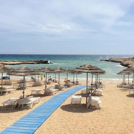 شقة Strelitzia لاشي