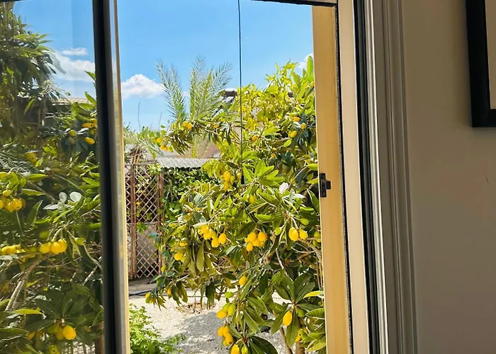 Appartamento Strelitzia