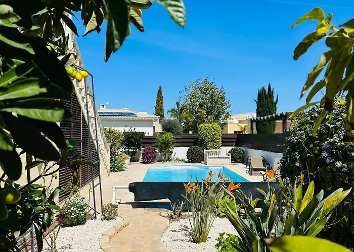 Апартаменты Strelitzia *