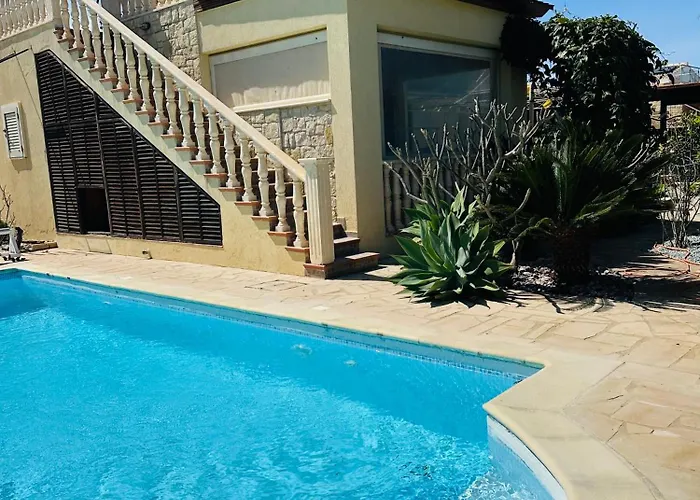 Strelitzia * Латхи