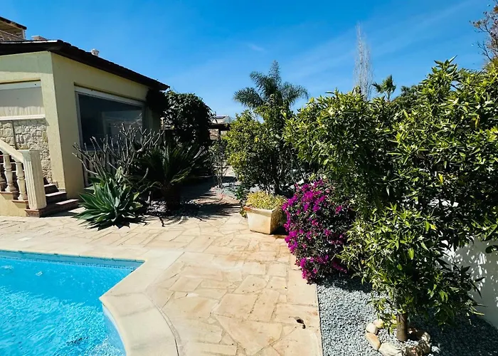 Апартаменты Strelitzia